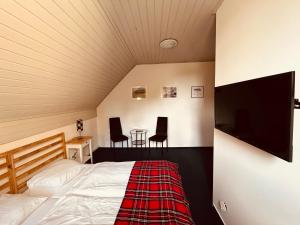 1 dormitorio con 1 cama y TV en una habitación en Chata U Skota en Janov nad Nisou