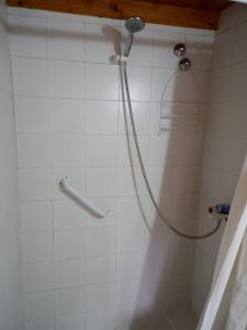 a shower with a shower head in a bathroom at La Casita de Li in San Martín de los Andes