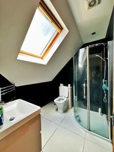 a bathroom with a toilet and a sink and a skylight at Blue rain in Hillingdon