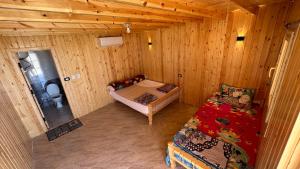 Musa Camp في Nuweiba: غرفة بسرير واريكة في كابينة