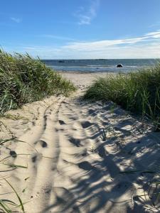 a sandy beach with grass and a body of water at Trevlig och havsnära stuga in Glommen