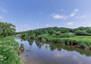 a view of a river with trees in the background at Luxury Rural River Edge Retreat, Pet Friendly in Weare Giffard