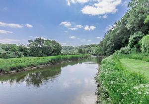 a river running through a field with trees at Luxury Rural River Edge Retreat, Pet Friendly in Weare Giffard