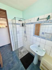 La salle de bains est pourvue d'un lavabo et d'une douche en verre. dans l'établissement Haut de villa calme avec jolie vue, à Sainte-Rose
