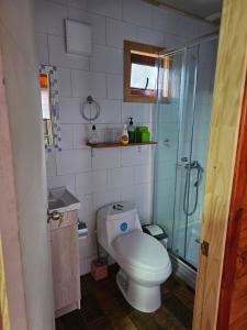 a small bathroom with a toilet and a shower at Alojamiento Pamela in Coñaripe