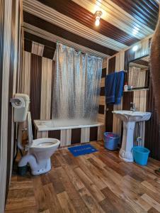 a bathroom with a toilet and a tub and a sink at Golden Hopes Group of Houseboats in Srinagar