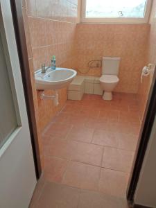 ein Bad mit einem Waschbecken und einem WC in der Unterkunft Soukromé pokoje s klubovnou a zahradou in Slezské Pavlovice