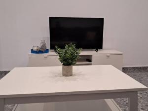 a white table with a tv and a potted plant at Altamira White & Bright in Almería