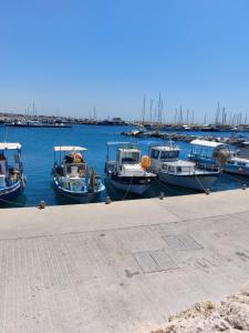 a group of boats docked in a harbor at Danitsea vila in Larnaca +13 photos