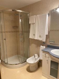 a bathroom with a shower and a toilet and a sink at Apartamentos Palacio Azcárate Calle Calvario in Ezcaray