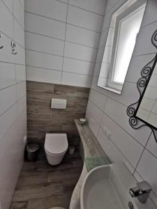 a small bathroom with a toilet and a sink at Zsálya Vendégház in Csopak