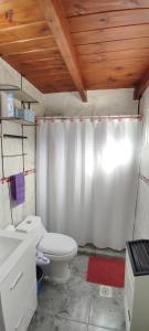 a bathroom with a toilet and a shower curtain at Paluna cabaña in San Martín de los Andes