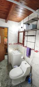 聖馬丁德洛斯安第斯的住宿－Paluna cabaña，浴室配有白色卫生间和盥洗盆。