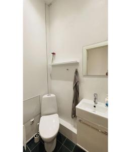 a bathroom with a toilet and a sink at ApartmentInCopenhagen Apartment 1554 in Copenhagen