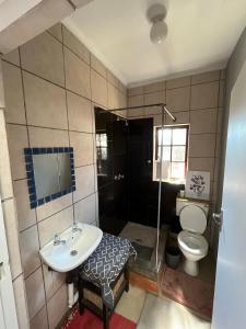 a bathroom with a sink and a toilet at Casa Bravo - Pilgrims Palace in Pretoria