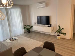 sala de estar con TV de pantalla plana en la pared en West Budapest-Edge of Downtown-Free Parking, en Budapest