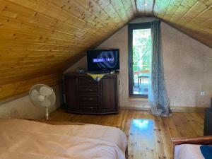 a bedroom with a bed and a tv and a window at Domek nad jeziorem in Klepnica