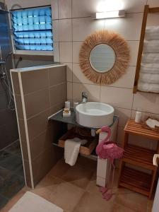 a bathroom with a sink and a mirror at ResaLoc - Maison Traditionnelle avec jardin in Saint-André