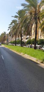 a street with palm trees on the side of the road at Habitacion en casa de familia "ValenciaBonita" in Valencia