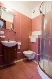 a bathroom with a toilet and a sink and a shower at Villa Vip in Trzęsacz