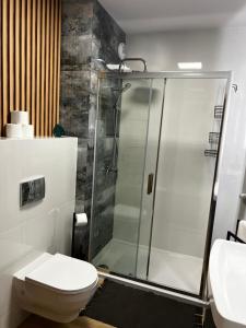 uma casa de banho com um chuveiro e um WC. em Apartament Szmaragdowy. em Siedlce