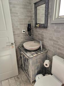 a bathroom with a sink and a mirror and a toilet at Aegean Muses in Leipsoi +65 photos