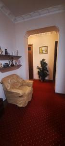 Galería fotográfica de SAM GREEN HOUSE Hostel en Samarcanda 14 fotos más