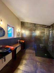 ein Bad mit einer Dusche und einem Waschbecken in der Unterkunft La cabane de babarot in Aups