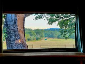a window with a view of a field and a tree at La cabane de babarot in Aups
