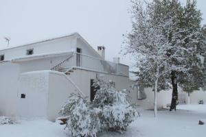 une maison enneigée avec un arbre en face de celle-ci dans l'établissement Gran Casa, Lagunas de Ruidera, BBQ, porche, chimenea, à Ruidera
