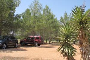 zwei LKWs auf einem Feld in der Nähe von Bäumen geparkt in der Unterkunft Gran Casa, Lagunas de Ruidera, BBQ, porche, chimenea in Ruidera