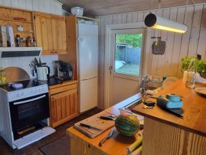 uma cozinha com um balcão com um frigorífico e um fogão em Beautiful Located Holiday Home In The First Row To The Beach em Haderslev