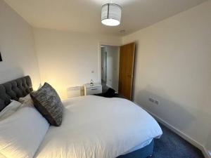 a bedroom with a white bed with a cat sitting on it at Cosy MCR 1 Bed Apt with Balcony in Manchester