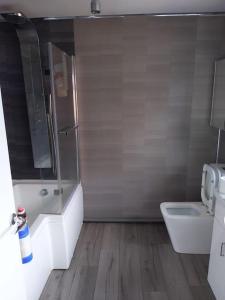 a bathroom with a toilet and a shower and a sink at Spacious 2 bed apartment in central Mablethorpe in Birmingham