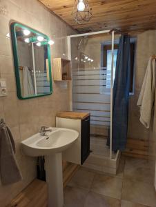 La salle de bains est pourvue d'un lavabo et d'une douche. dans l'établissement Studio confort montagne, à Aulus-les-Bains