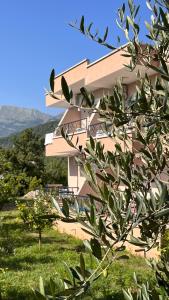 a building with a tree in front of it at Guesthouse P&A in Budva