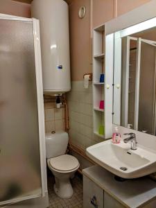 La salle de bains est pourvue de toilettes, d'un lavabo et d'un miroir. dans l'établissement Studio Gil La Bresse Hohneck, à La Bresse