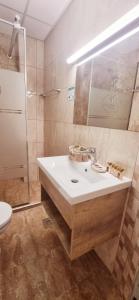 a bathroom with a sink and a mirror and a toilet at Hotel Bluebell in Ohrid