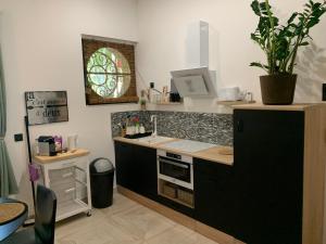 una cocina con fregadero y encimera en Studio loft 40m2 de charme, en Perpiñán