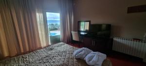 a bedroom with a bed and a television and a window at Hotel Bluebell in Ohrid