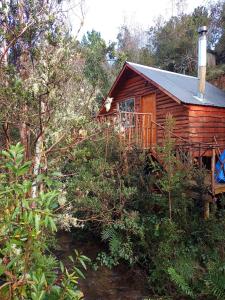 eine Holzhütte im Wald mit Bäumen in der Unterkunft Refugio y Tinaja Curiñanco in Valdivia