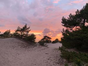 Fotografie z fotogalerie ubytování Przyczepy Camping Kormoran - Hel - Półwysep Helski v destinaci Hel