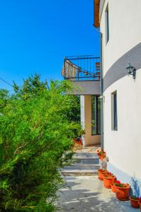 a building with a balcony and some plants in pots at ROMSIL GUESTHOUSE in Costinesti