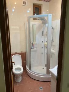 een badkamer met een douche en een toilet. bij Коттедж на берегу оз. Севан in Sevan