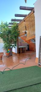 a living room with a green rug and a patio at Salicornia terrassa in Amposta