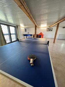 a ping pong table with a cue ball on top of it at Villa Marletta in Santa Maria di Licodia