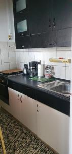 Η κουζίνα ή μικρή κουζίνα στο Relax Apartman