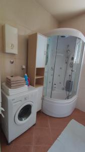 ein Bad mit einer Waschmaschine und einer Dusche in der Unterkunft AP apartment in Mostar