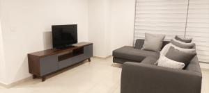 ein Wohnzimmer mit 2 Sofas und einem Flachbild-TV in der Unterkunft Apartment, renovated perfect for Nomads in Mexiko-Stadt