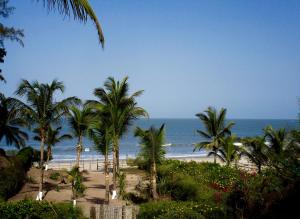 a view of a beach with palm trees and the ocean at ECOLODGE SAFARI in Cap Skirring